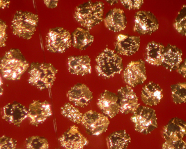 Diamond coated